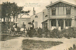 La Tremblade * Hôtel Et La Plage De Ronce Les Bains * Attelage - La Tremblade