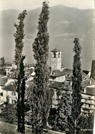 CPSM Brissago-Timbre      L1818 - Brissago