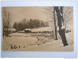 Belgique Rouge-Cloître Ligue Des Amis De La Forêt De Soignes Circulée 1919 Timbre Albert I COB 135 - Oudergem - Auderghem