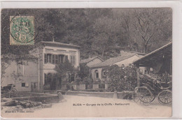 CPA-BLIDA Gorges De La Chiffa-restaurant-hôtel Du Ruisseau Des Singes-calèche - Blida