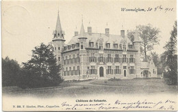 Wommelgem    *  Château De Selsaete   (Hoelen,588) - Wommelgem