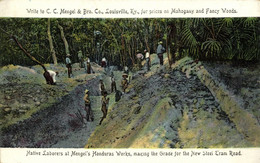 Br. Honduras, BELIZE, Native Laborers Making Grade Mengel's Mahogany Camp (1907) - Belice