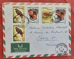 MADAGASCAR Oiseaux, Oiseaux, Yvert N° 380+383 Sur Lettre Ayant Circulée Au Tarif Pour La France. 06/04/1965 - Autres & Non Classés