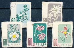 TIMBRE  ZEGEL STAMP  THEMATIQUE FLEURS  BLOEMEN FLOWERS   POLOGNE POLSKA - Andere