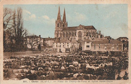 CHOLET. - Place Du Champ De Foire Et Eglise Notre-Dame - Cholet