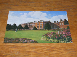 54348-                HAMPTON COURT PALACE, MIDDLESEX - Hampton Court