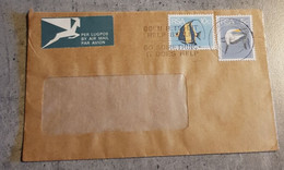 RSA SOUTH AFRICA AIR MAIL ENVELOPPE LETTER CIRCULED - Poste Aérienne