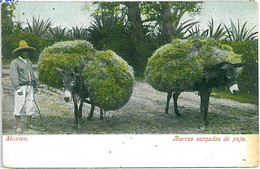 24358 -  MEXICO VINTAGE POSTCARD - ETHNIC POSTCARD: DONKEYS \ BURROS CARGADOS DE - Amerika