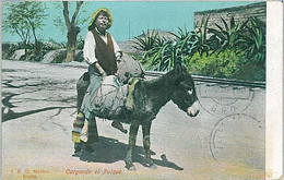 24362 - MEXICO - VINTAGE POSTCARD - ETHNIC POSTCARD : CARGANDO PULQUE - Amerika