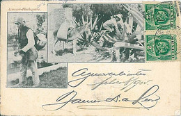 24378-MEXICO-VINTAGE POSTCARD:-ETHNIC POSTCARD:AGUADOR FLAQUIQUERO\AGAVE 1905 - Amerika