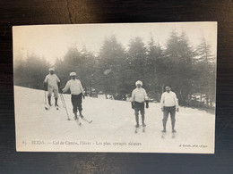 BLIDA  Col De CHRÉA  L'hiver - Les Plus Enragés Skieurs - Blida