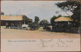 C. P. A. : GUATEMALA : Finca "La Concepcion" , ESCUINTLA , Sello En 1908 - Guatemala