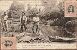 C. P. A. : COSTA RICA : Caceria De Lagartos (crocodiles) En El Rio Matina, 2 Sellos En 1906 - Costa Rica