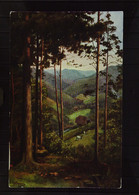 DR: Karte Aus Der Schwarzwaldserie II Nr. 1 "Drchblick Ins Tal" Um 1920 Hoffmann - Verlag Hofkunsthandlung Heidelberg - Hoffmann, Ad.