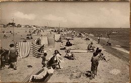 Canet Plage - Vue Sur La Plage - Baigneurs - Canet Plage