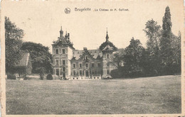 BRUGELETTE - Le Château De Mr Goffinet - Carte Circulé - Brugelette