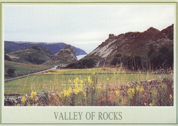 Postcard Valley Of Rocks Lynton By Blackmores Of Exmoor Devon My Ref B25756 - Lynmouth & Lynton