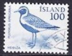 1981. Iceland. European Golden Plover (Pluvialis Apricaria). Used. Mi. Nr. 568 - Oblitérés