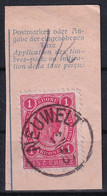 MiNr. 81 Österreich1899, 1. Dez. Kaiser Franz Joseph (Kronen-Währung) - Ausschnitt Mit Stempel NEUWELT - Gebraucht