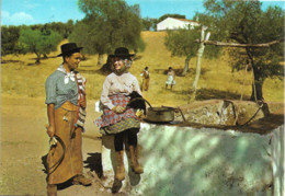 ALENTEJO Ceifeiros Postcard - Beja