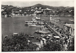 CPSM -  PONZA -  Arrivo Della Motonave Ponza Da Anzio - Latina