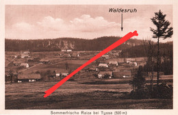 AK Raiza Raitza Rajec Gasthof Waldesruh Tyssa Tissa Tisa Peterswald Petrovice Neuhof Eiland Ostrov Hungertuch Hellendorf - Sudeten