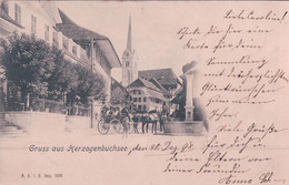 Gruss Aus Herzogenbuchsee BE, Attelage Et Fontaine (1020) - Herzogenbuchsee