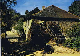 49 - Thouarcé (Maine-et-Loire) - Le Prieuré (ancien Moulin) - Thouarce