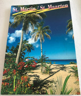 978 Ile De Saint Martin 1998 Plage Cocotier Hibiscus -stm 9640 - Saint Martin