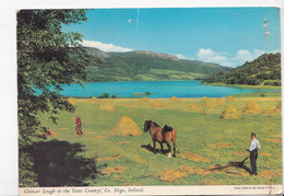 IRLANDE, SLIGO, Cheval De Labour à L'ancienne,  Ed. John Hinde 1990 Environ - Sligo