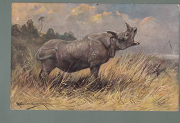 CP - Animaux - Rhinocéros - Rinoceronte