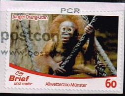 Brief Und Mehr Münster 2016, Col:DE-BUM 160 O Münster Zoo - Orangutan (Pongo Sp.) - Privados & Locales