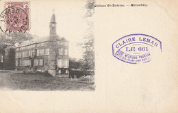 Molenbaix - Chateau St-Antoine - Claire Leman - Le 661 - Celles