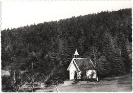 CPSM PELERINAGE DE N. D. DE L'ERMITAGE DE NOIRETABLE  (LOIRE)  LA PETITE CHAPELLE - Noiretable