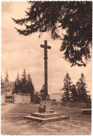 CPSM PELERINAGE DE N. D. DE L'ERMITAGE DE NOIRETABLE  (LOIRE)  LA CROIX DE L'IMMACULEE CONCEPTION - Noiretable