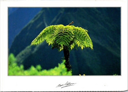 (2 L 22) France - Ile De La Réunion (tree/ Arbre) - Reunión