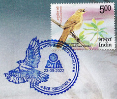 BIRDS-INDIAN ROLLER - STATE BIRD OF ODISHA- SPECIAL COVER- LIMITED ISSUE- SCARCE- BX3-01 - Koekoeken En Toerako's