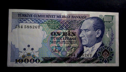 A6  TURQUIE   BILLETS DU MONDE   TURKEY  BANKNOTES  10000 LIRASI 2002 - Turquie