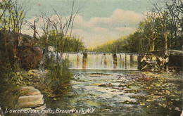 New York Bronx Park Lower Bronx Falls 1909 - Bronx