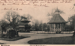 Norwich - Pagode & Chapel Field Gardens - Stereoscopic Company's Series - Norwich