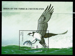 Ref 1572 - Turks & Caicos Islands - $2 Miniature Sheet  MNH - Osprey Bird Stamps - SG MS 1018 - Turks & Caicos (I. Turques Et Caïques)