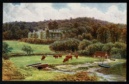 Ref 1574 -  J. Salmon ARQ A.R. Quinton Postcard (No Number) - Watermouth Castle Ilfracombe - Ilfracombe