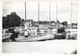 Photo D'un Port De Plaisance - Bateau - Barques - Boats