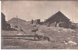 Suisse - C -  Appenzell - Ebenalp 1644m 6010 Ziegen Chevres Goat - Appenzell