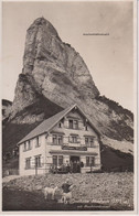 Suisse - C - Appenzell - Berg-gasthaus Staubern Ziegen Chevres Goat - Appenzell