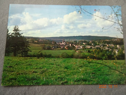 LIERNEUX   PANORAMA DU  BAILEU - Lierneux