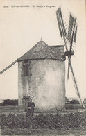 56 - Ile Aux Moines (Morbihan) - Un Moulin à Kergonan - Ile Aux Moines
