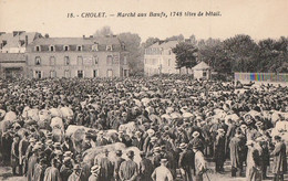 CHOLET. - Marché Aux Boeufs, 1748 Têtes De Bétail - Cholet