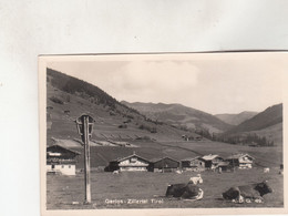 B8035) GERLOS - Zillertal - Tirol - HAUS DETAILS Und Kühe Im Vordergrund 1957 - Gerlos