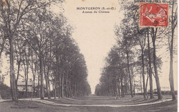 MONTGERON - Avenue Du Château - Montgeron
